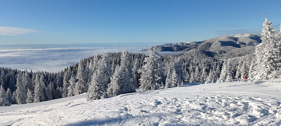 ски пампорово, сноуборд пампорово