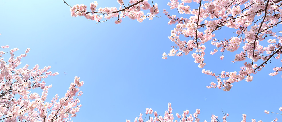 風景写真