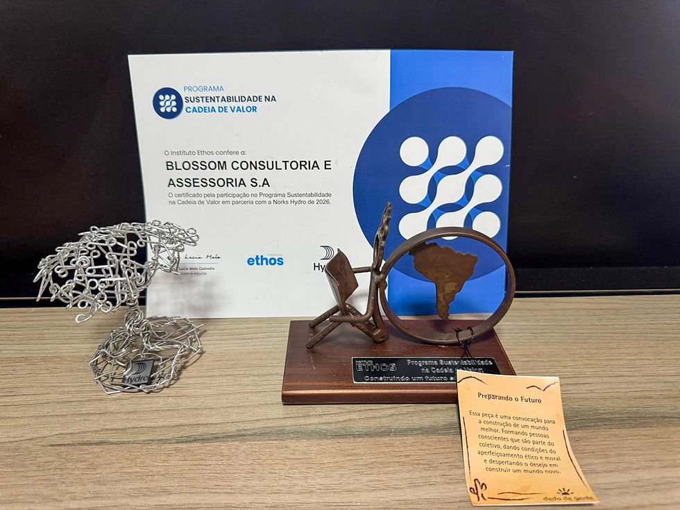 Certificado e troféus concedidos à Blossom Consult pela participação e destaque no Programa Sustentabilidade na Cadeia de Valor.