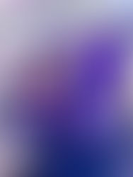 Blossom Consult leva pesquisa inovadora à Rio Pipelines 2025