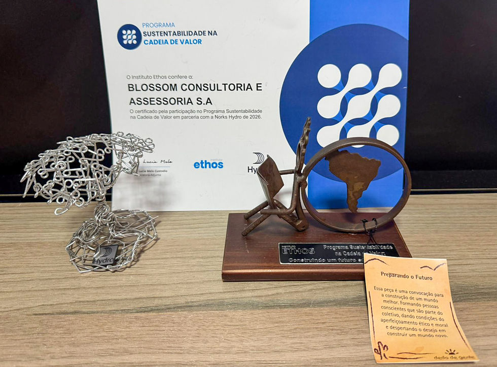 Certificado e troféus concedidos à Blossom Consult pela participação e destaque no Programa Sustentabilidade na Cadeia de Valor.