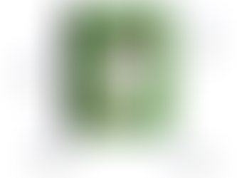 Review | Little People, Big Dreams: Megan Rapinoe by Maria Isabel Sanchez Vegara and Paulina Morgan