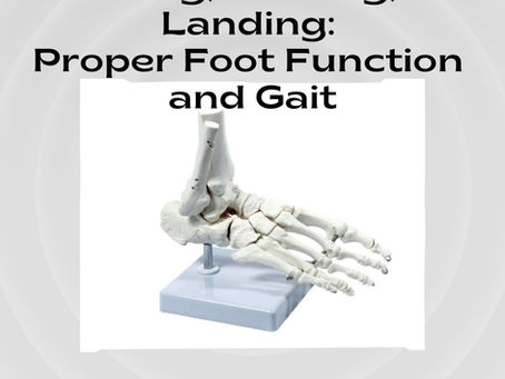 Standing, Walking, and Landing: Proper Foot Function and Gait