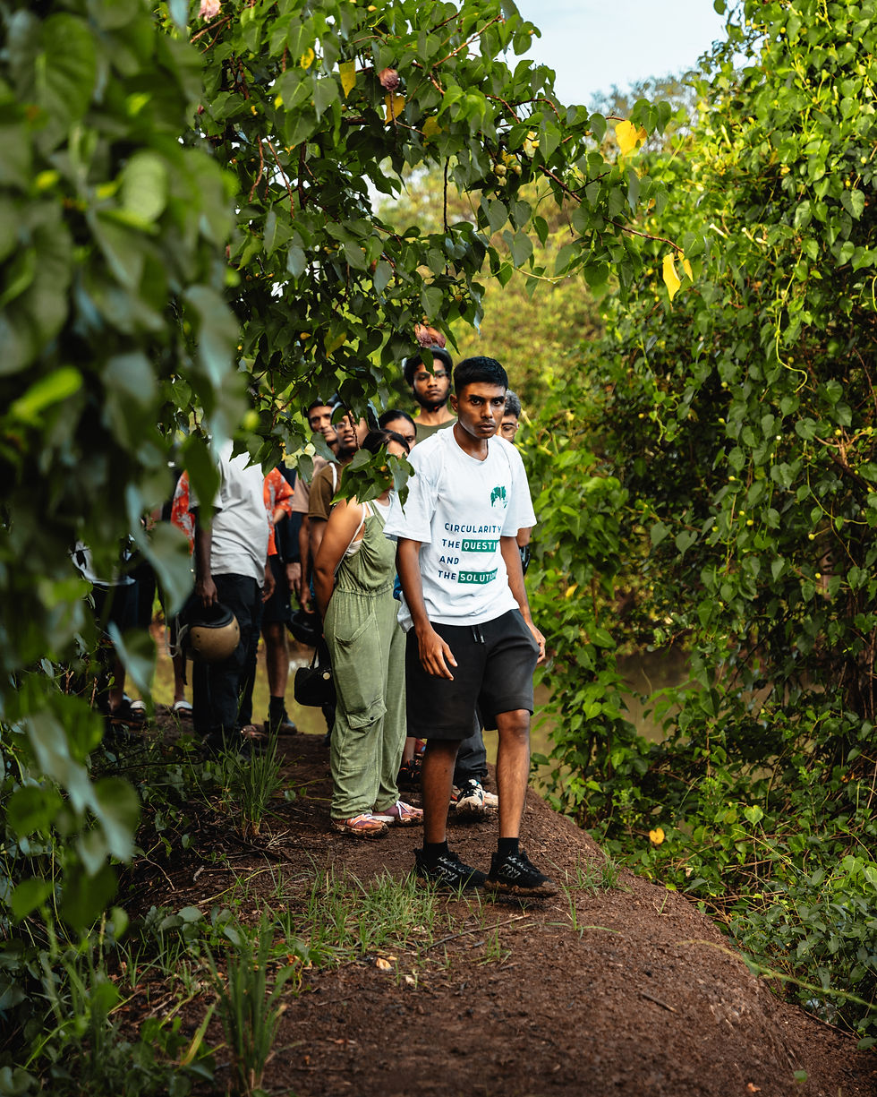 Mangrove Odyssey Divar Island Trail walking.