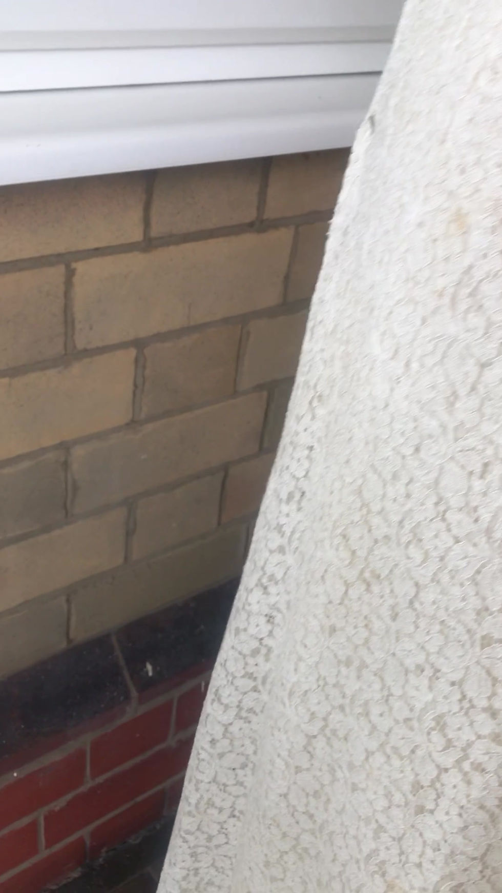 Thumbnail: 1930's Ivory Lace Gown and Bolero Jacket Video