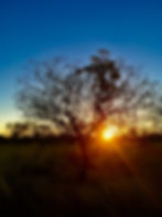 Outback Sunsets (Porcupine Gorge)