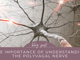 polyvagal theory.