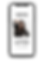 news.png