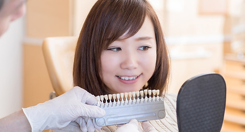 歯科