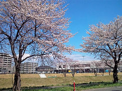 地域密着型医療提供