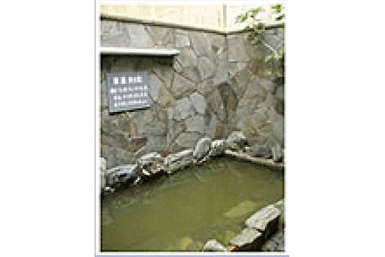 【露天風呂】☆薬湯☆