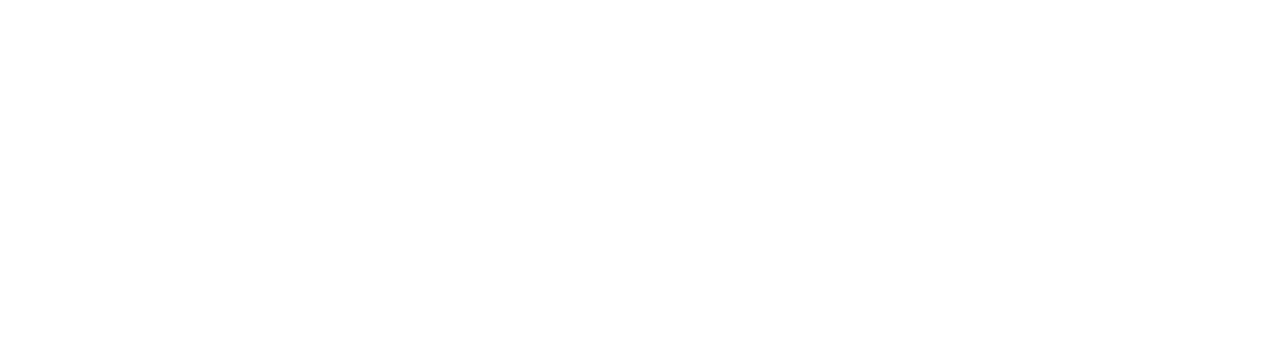 daluis-v1-ws.png