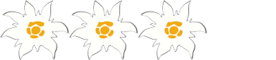 3-edelweiss-auszeichnung-blume.png