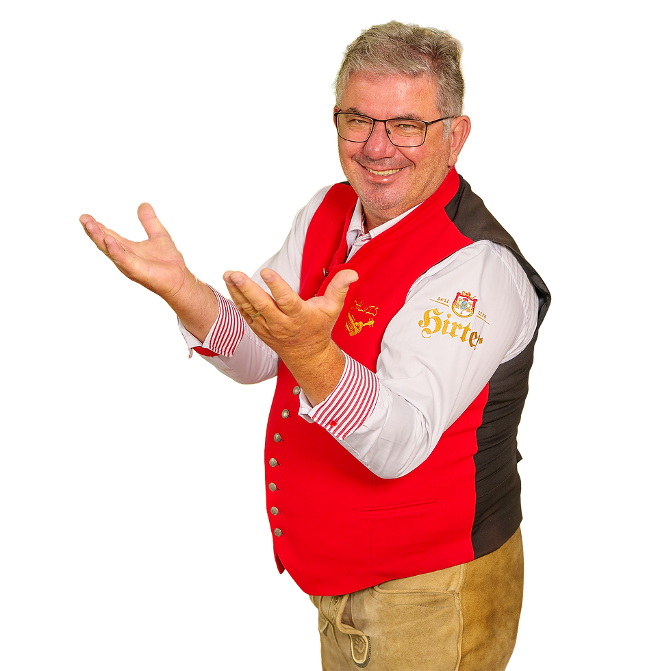 DALUIS - Alleinunterhalter aus der Steiermark