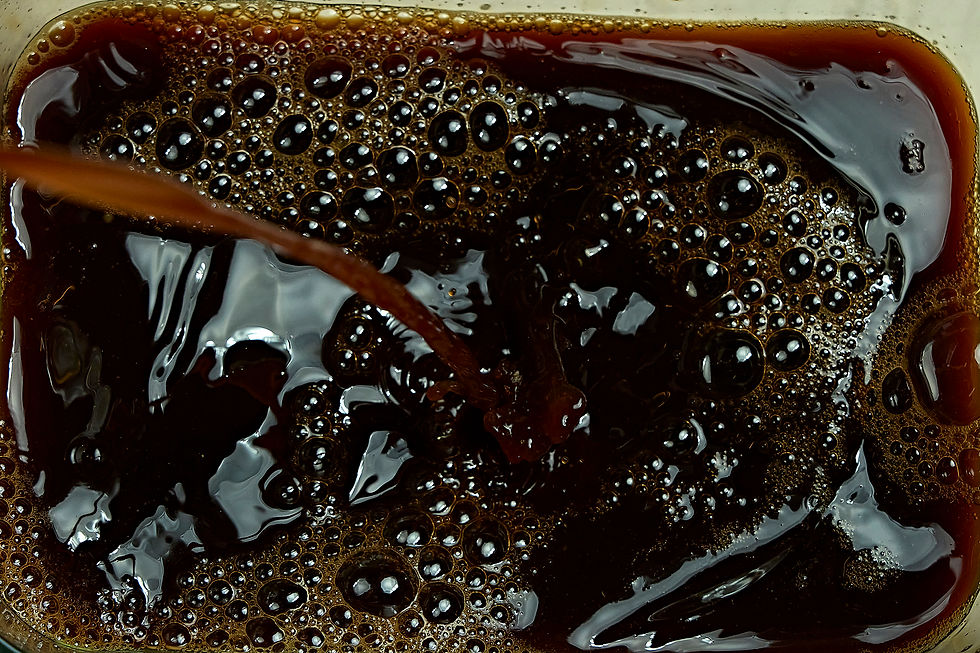 Braunes - EVOLIS - mikrobiologische Pflanzenhilfsstoffe Steiermark