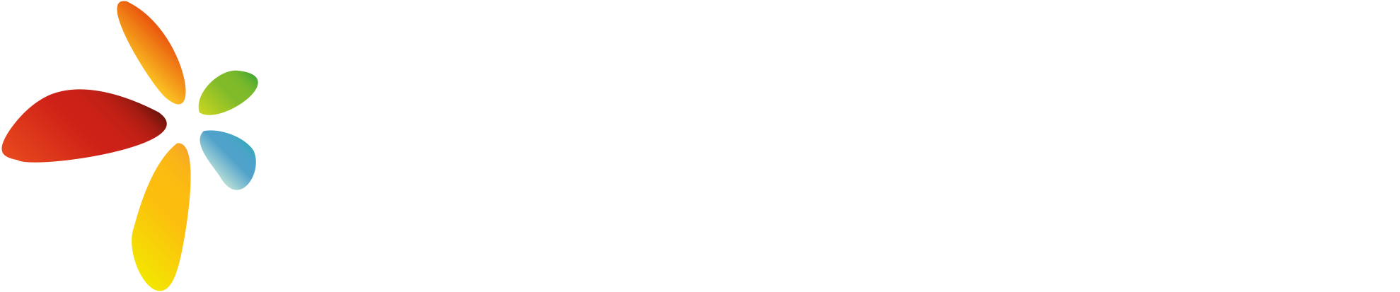 evolis-ws-seed-2.png