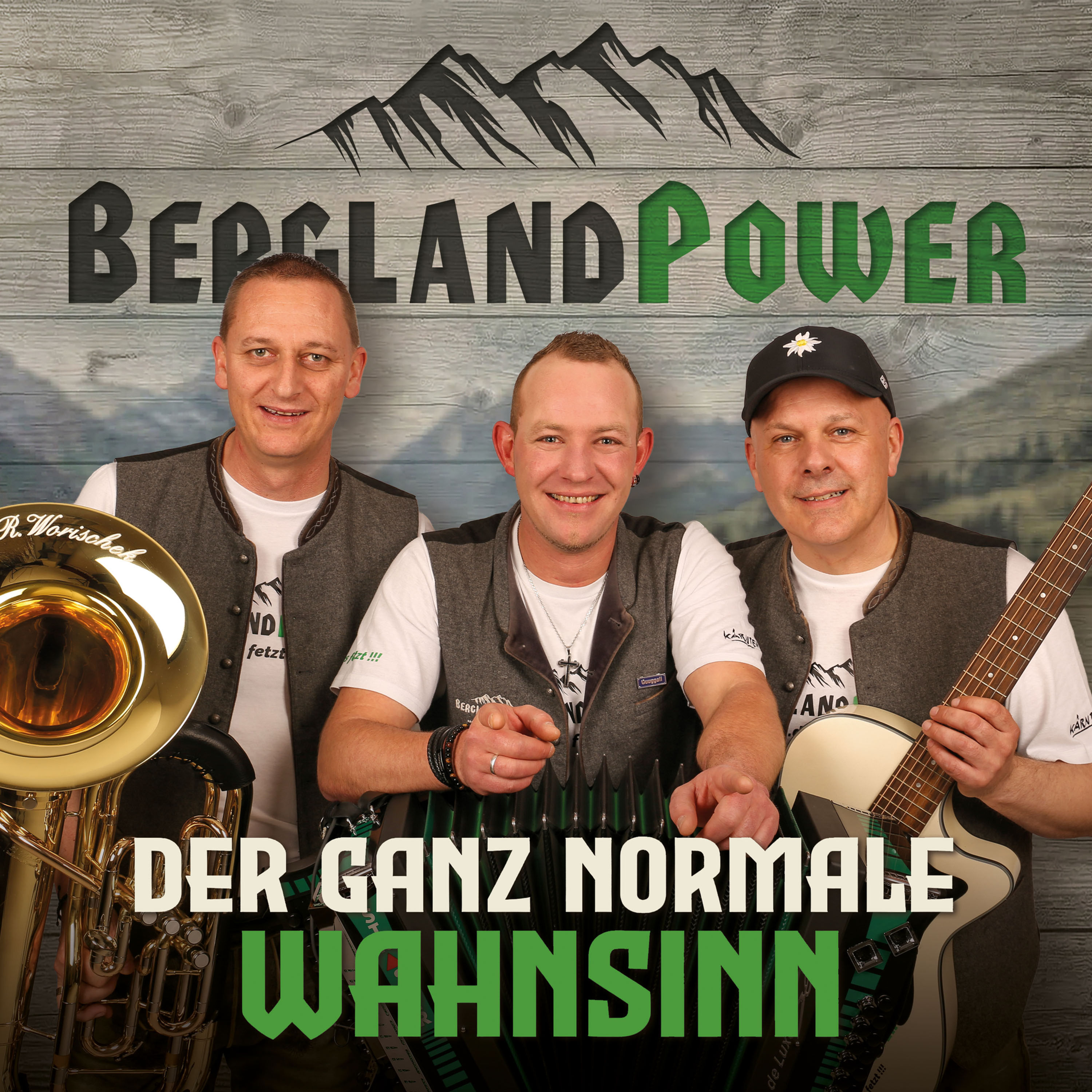 DER GANZ NORMALE WAHNSINN