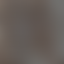 Chicago Transit Authority | Public Transportation