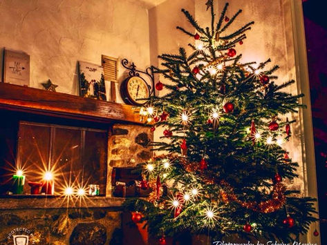 Fröhliche Weihnachten!
