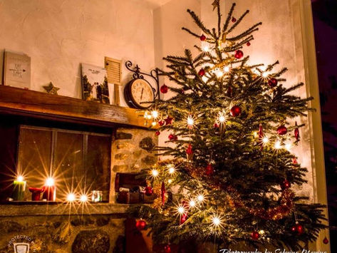 Merry Christmas!
