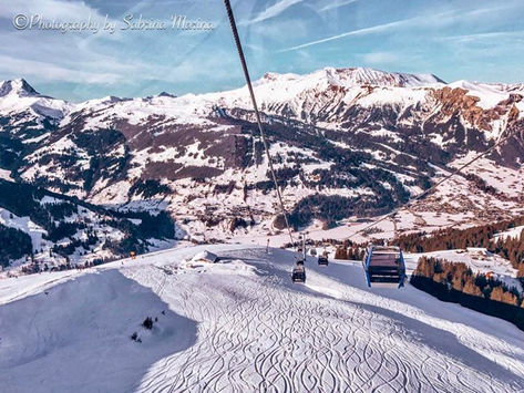 Live. Breathe. Ski.