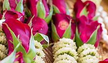Garlands