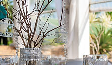 Centerpiece 3 with my birdcages