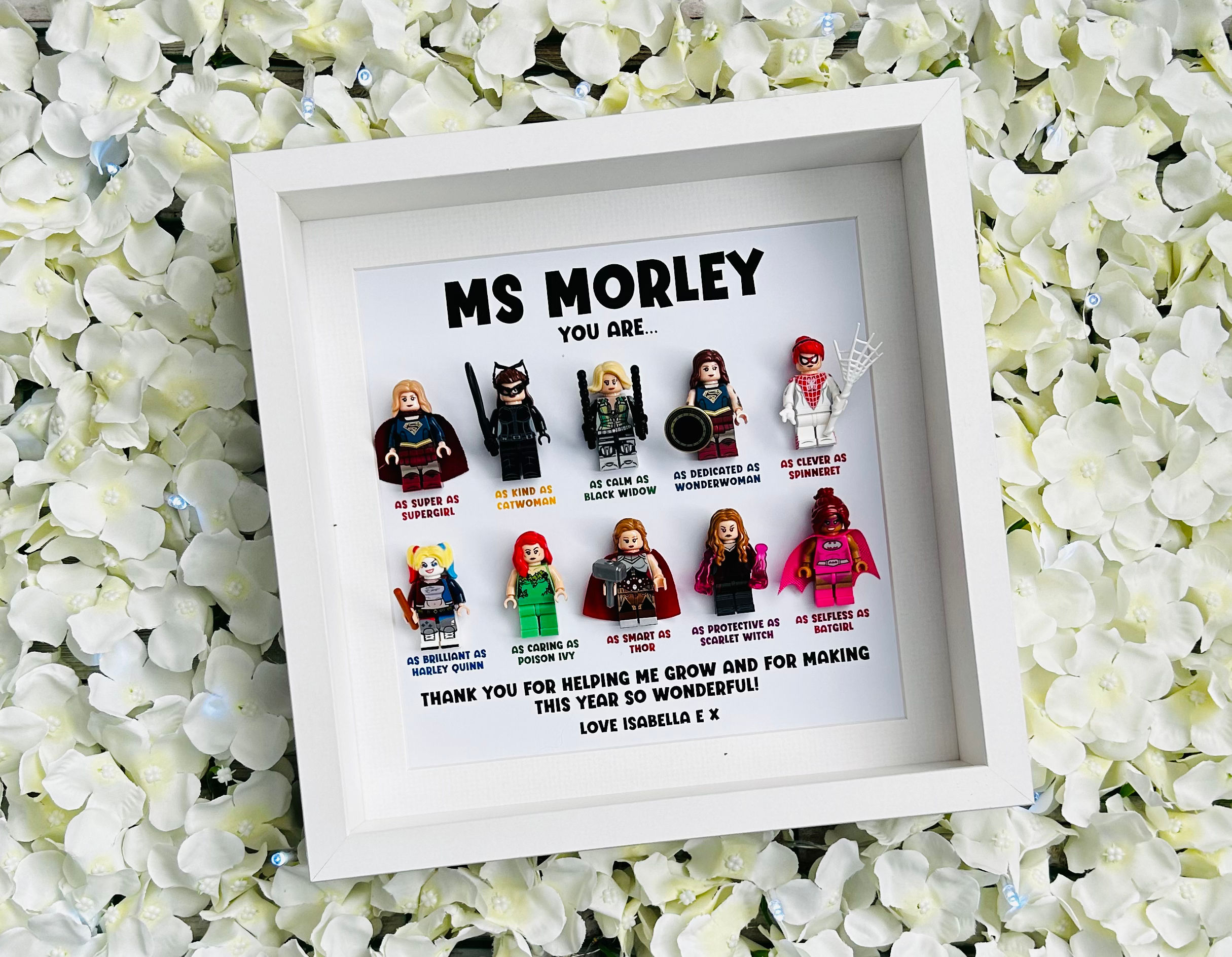Teacher Superhero Female Minifigure Frame
