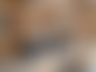 Giraffen in der Mühlegasse