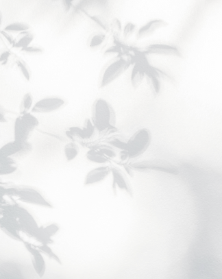 Leaves Shadow _edited_edited.png