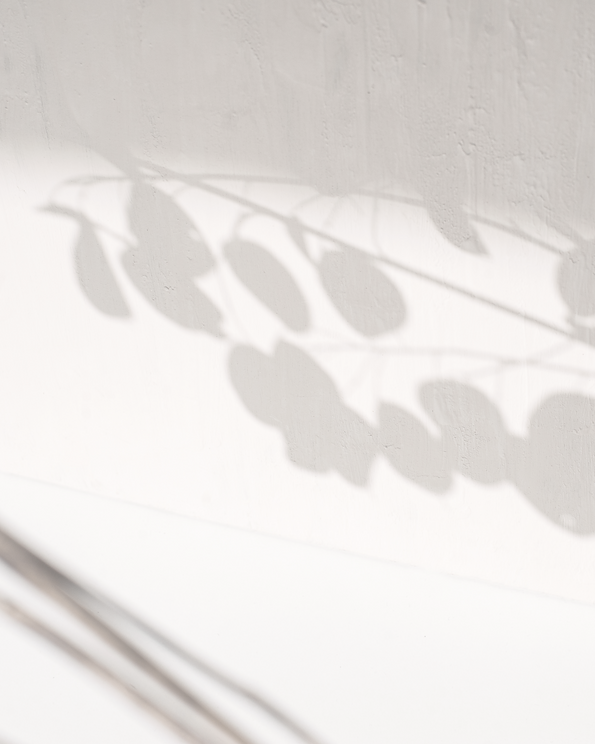 Lunaria shadows_edited_edited_edited.png