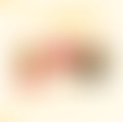 オンライン交流会のご案内　2025年7月18日(金)10:00〜11:30　Zoomにて