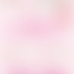 リトルベビーおしゃべりほっとタイム　【共催】とっとの芽×pena　2025年6月28日13:30〜15:00