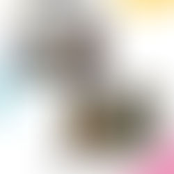 あつぎロードギャラリー写真展終了　ありがとうございました！
