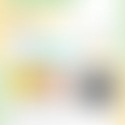 タウンニュースの川崎市各版に掲載いただいた、リトルベビー写真展に関する記事です。中央右には背中に手を当てられたリトルベビーの写真があります。