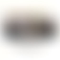 資産運用講座　サークル内イベントレポ　2024.4.27(土)