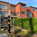 Boomverzorger Arborist Jan een boom aan het planten