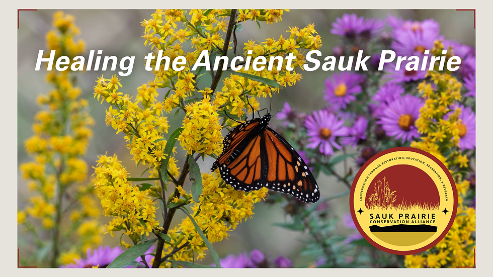 The above is a copy of the current (11/2025) presentation that I researched, designed, and created using Adobe Express & Google Slides to highlight our history and mission.