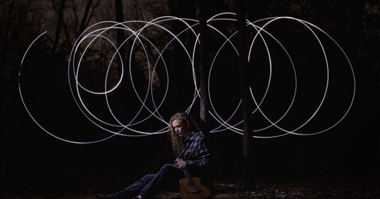 Kauri Circles.png