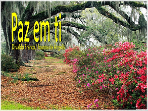 Amejf Mensagens De Joanna De ângelis