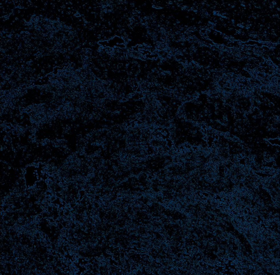 294967903_378167517792174_1718132219432928456_n