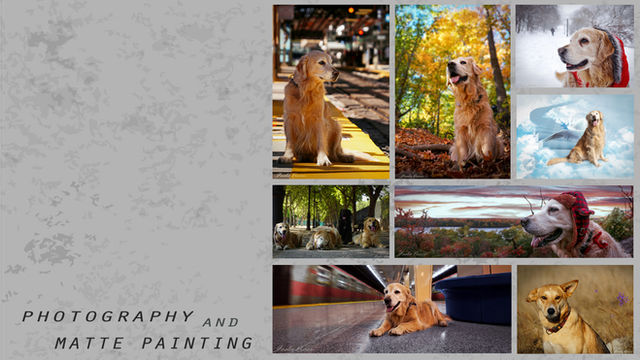 Pet Photography and Matte Painting