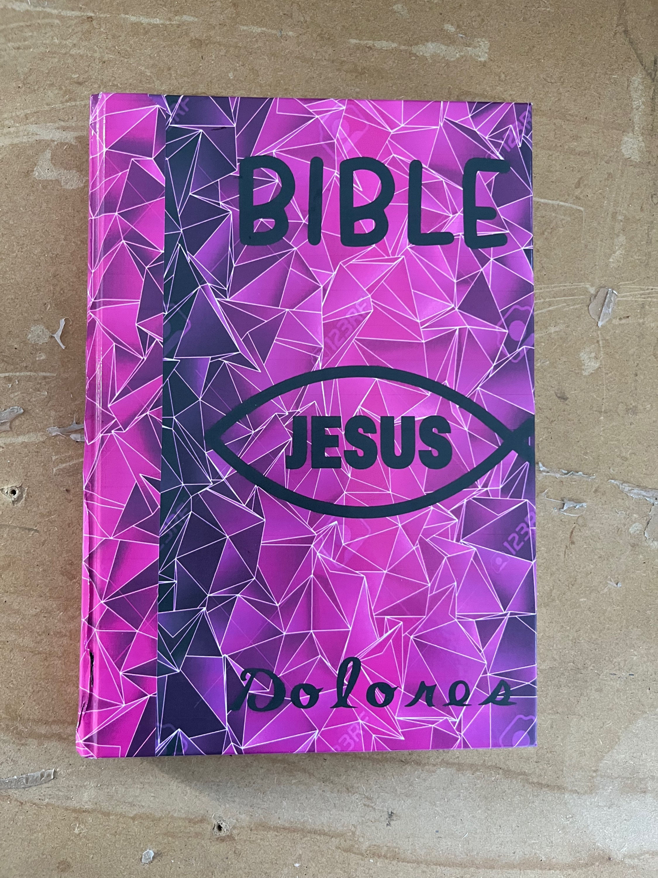 Bible customiser 