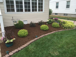 After-Annual Pot Planting and Bark Mulch