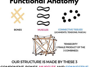 Your Body Is Not a Crane: The Power of Tensegrity in Human Movement | Personal Trainer Singapore