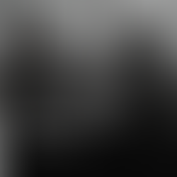 Suspensão Condicional da Pena.