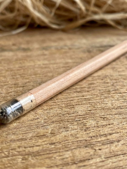 Leading Plantable Seed Pencil Wholesaler in Coimbatore 2026