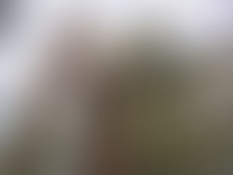 Saint Michael the Archangel Church Has Celebrated its Final Mass