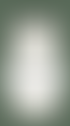 Instagram’s New Competitive Insights: A Smarter Way to Measure Your Performance