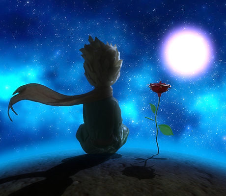 Little prince 3d